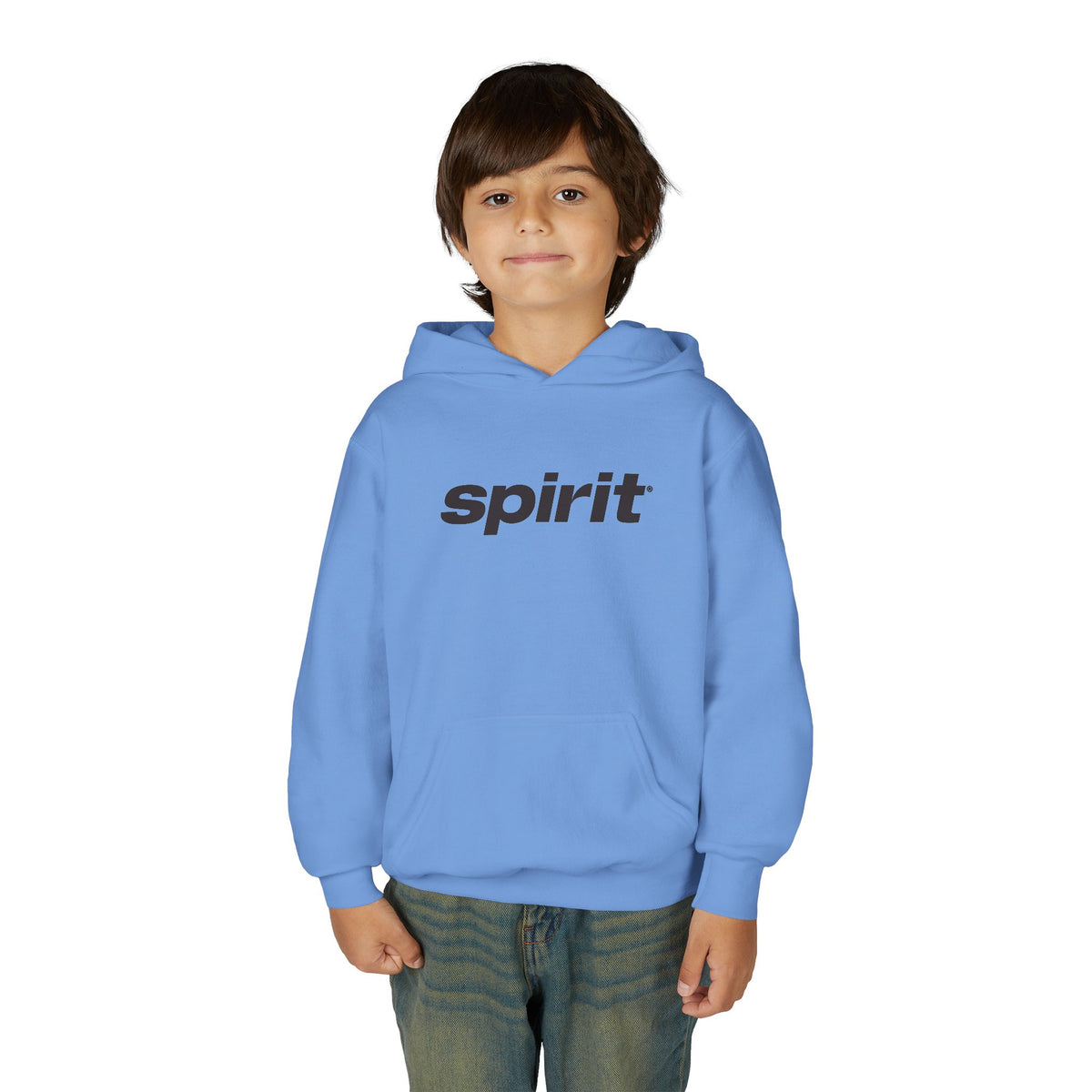 Spirit Airlines Youth Hoodie / Swaetshirt
