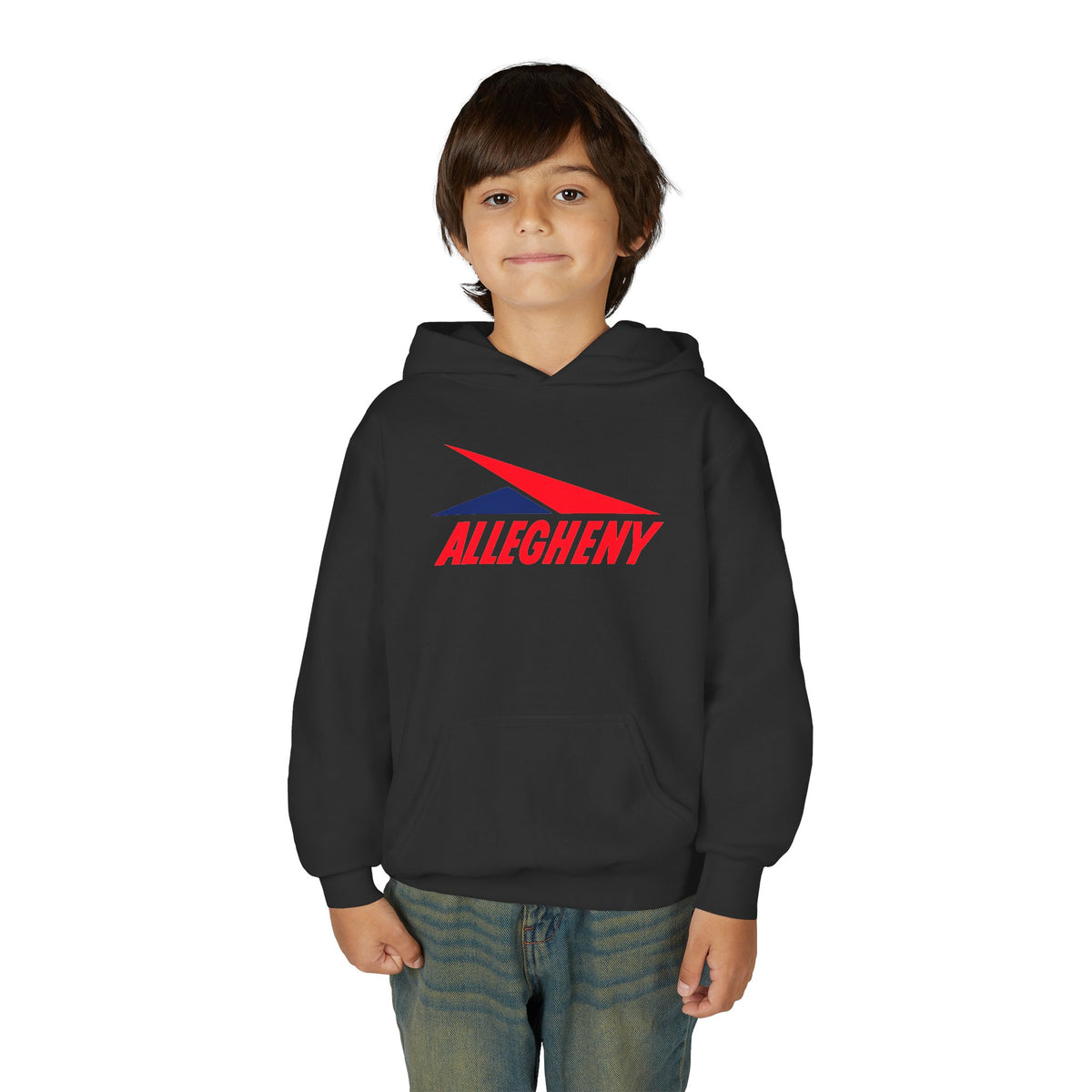 Allegheny Airlines Youth Hoodie / Sweatshirt
