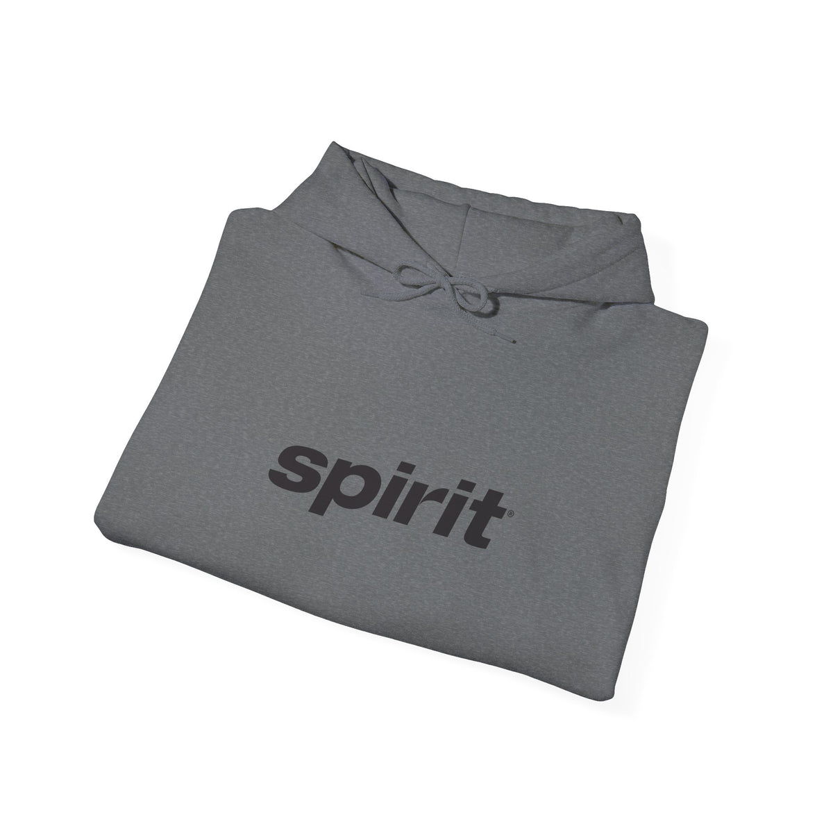 Spirit Airlines Hoodie / Sweatshirt