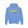 Ultimate Electronics Youth Hoodie / Sweatshirt