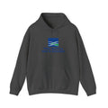 Wachovia Securities Hoodie / Sweatshirt