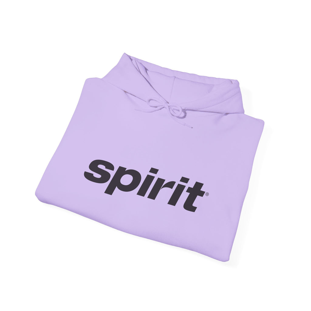 Spirit Airlines Hoodie / Sweatshirt