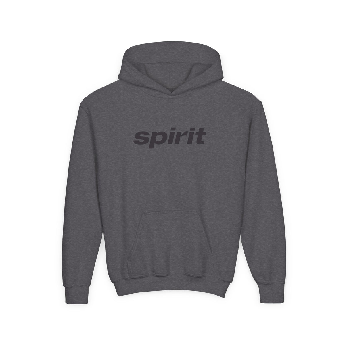 Spirit Airlines Youth Hoodie / Swaetshirt