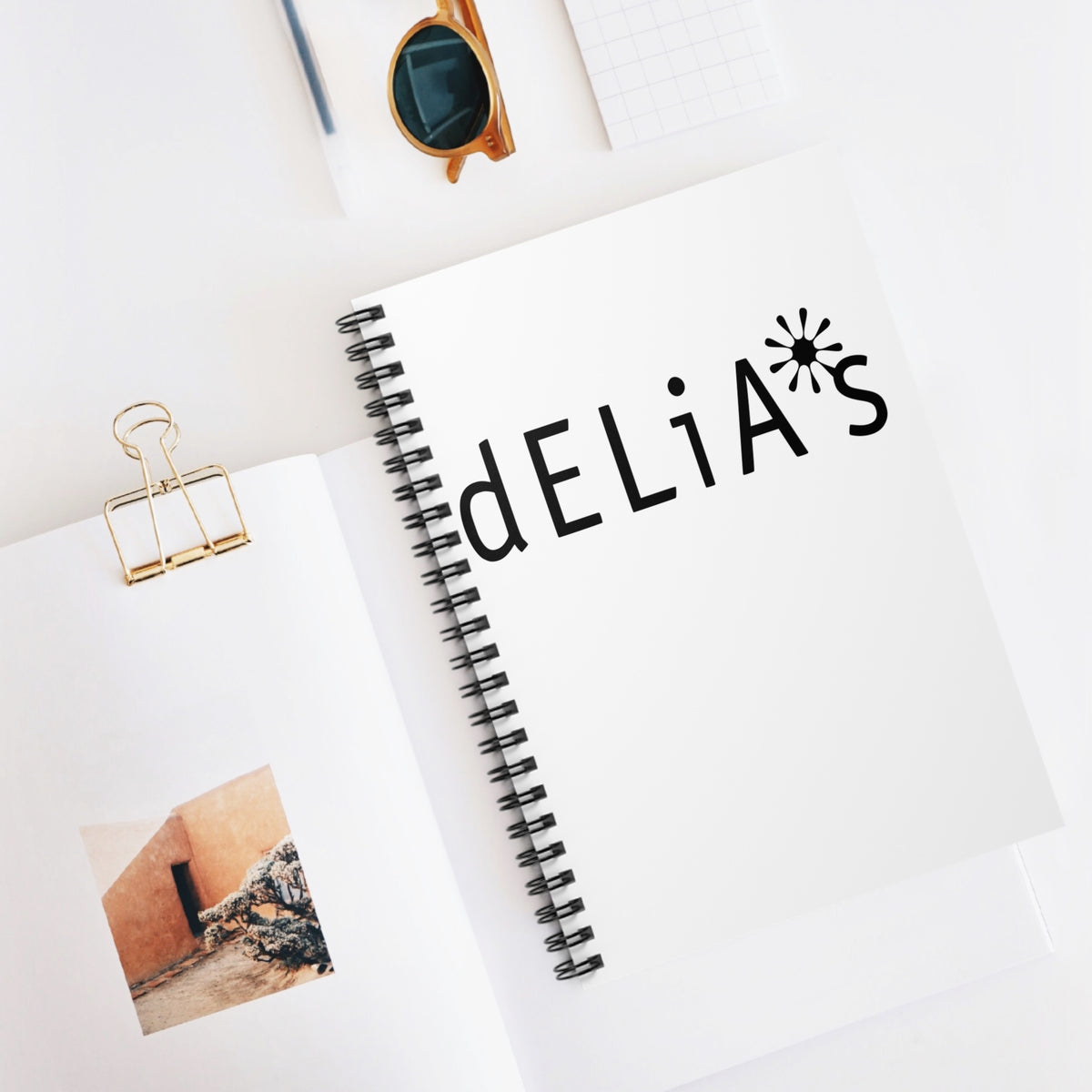 Delia's Spiral Notebook