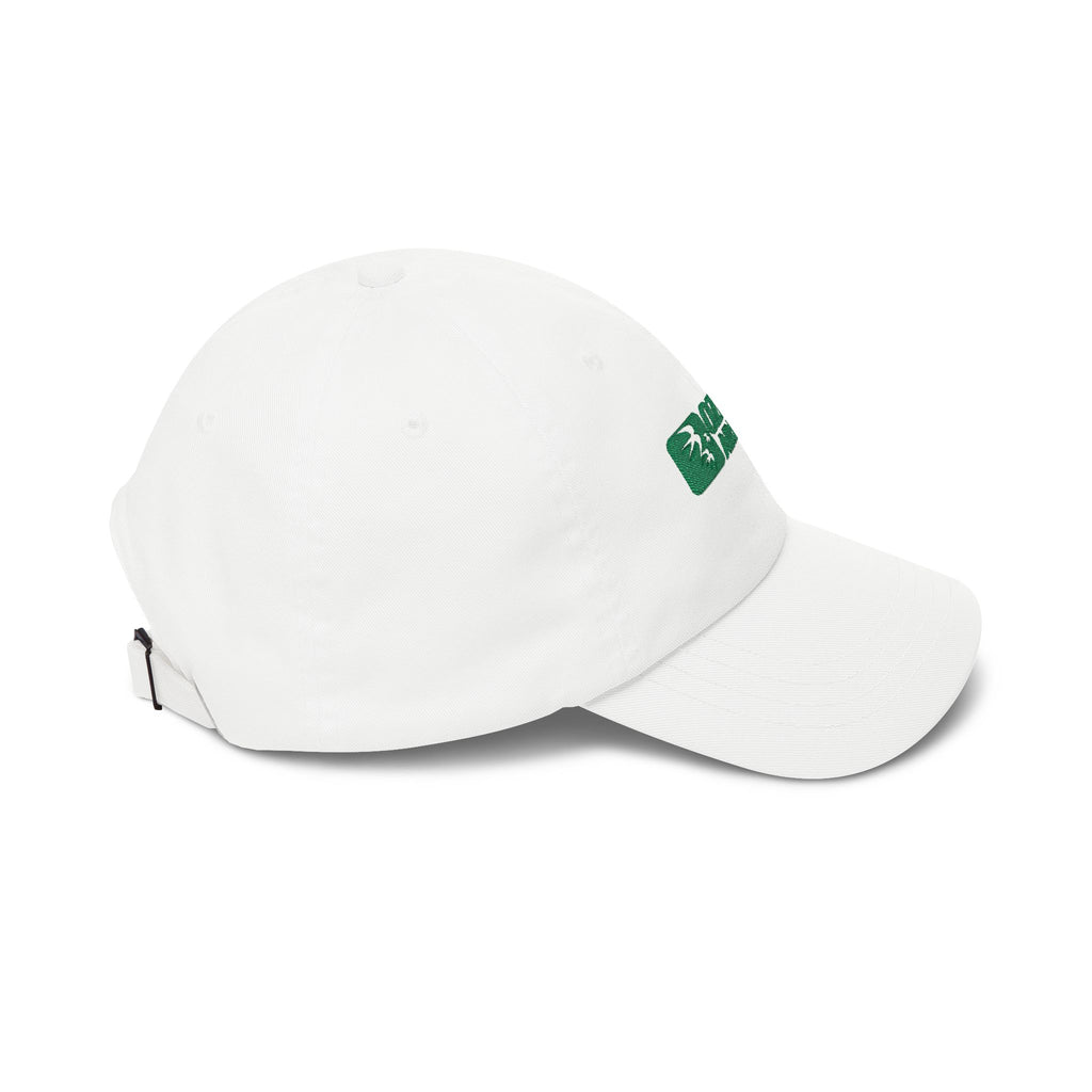 Ozark Air Lines Embroidered Dad Cap Hat