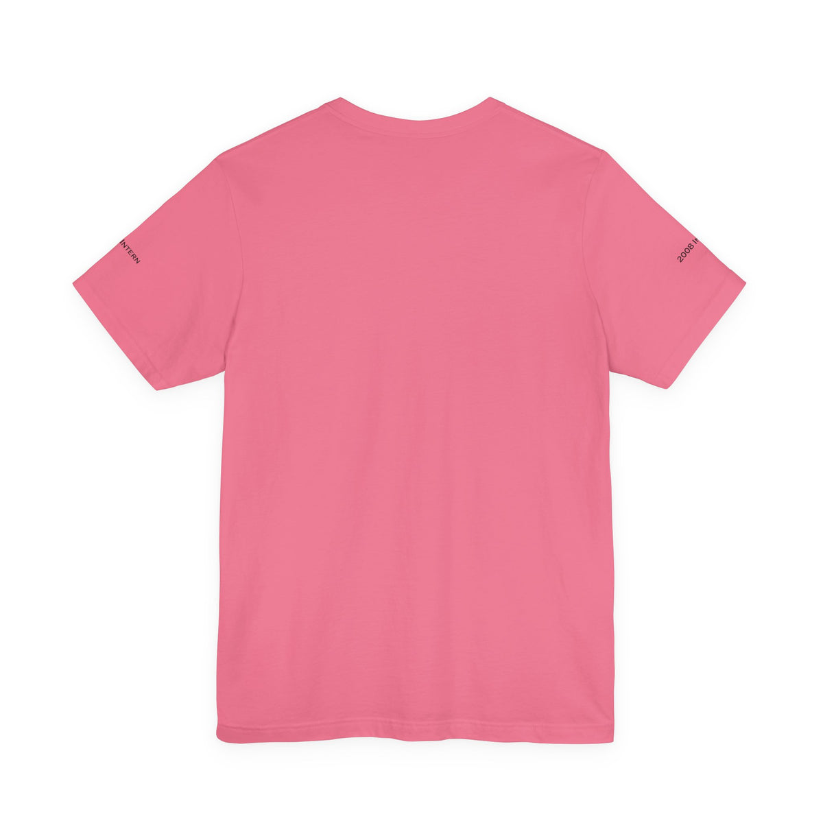 Bear Stearns T-Shirt 2008 Intern (Sleeve)