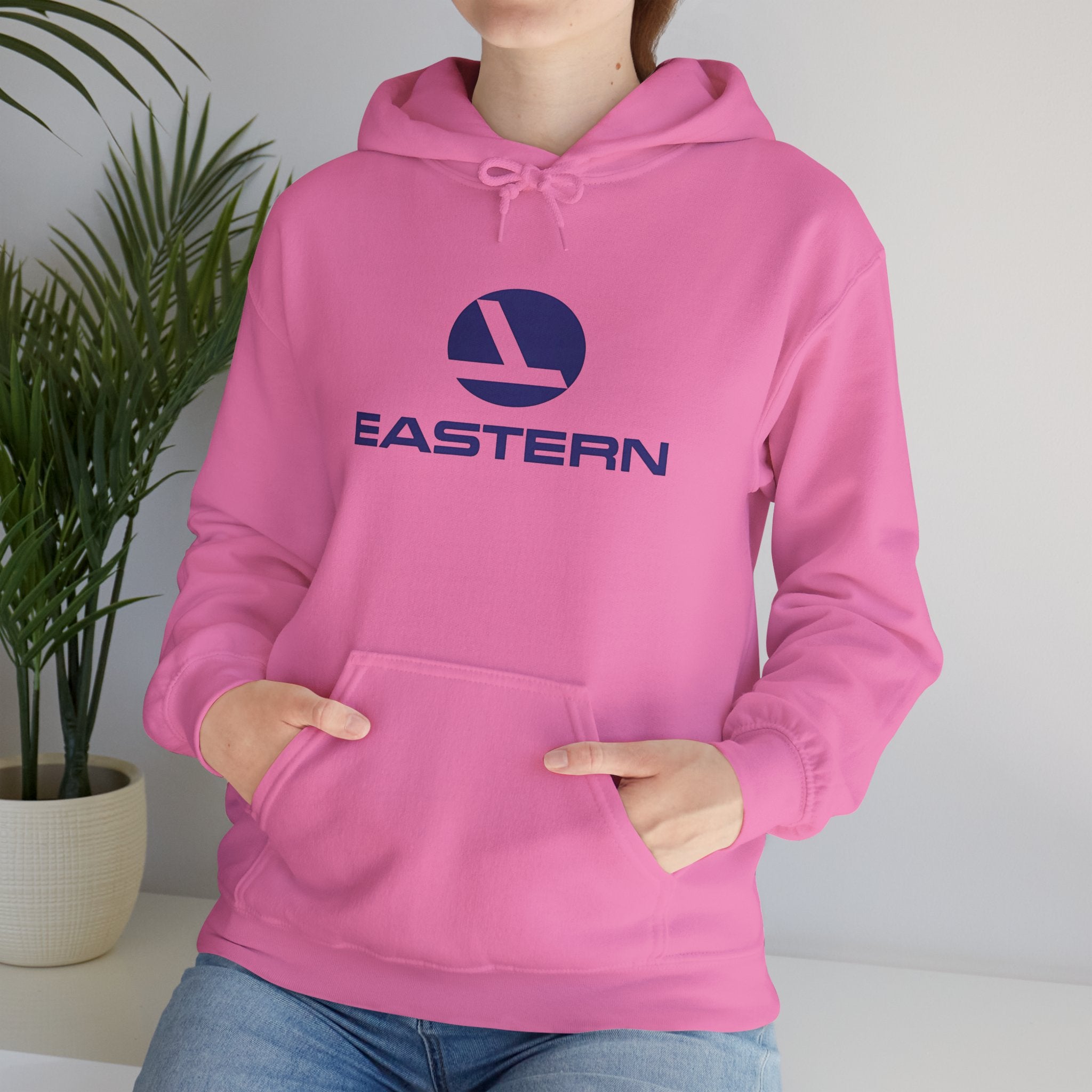 Eastern Air Lines Hoodie / Sweatshirt