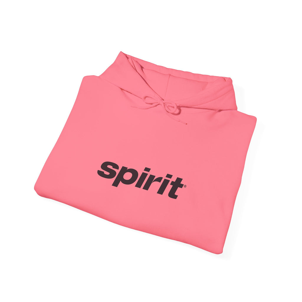 Spirit Airlines Hoodie / Sweatshirt