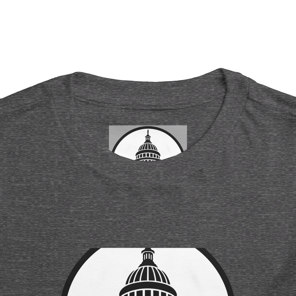 Baltimore and Ohio Railroad Toddler Tee / T-Shirt
