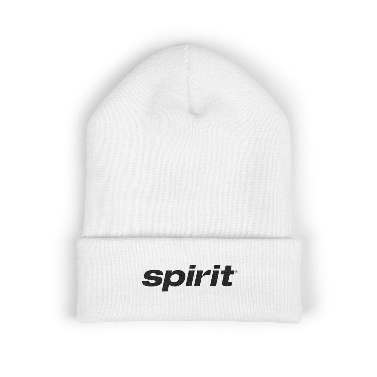 Spirit Airlines Cuffed Beanie