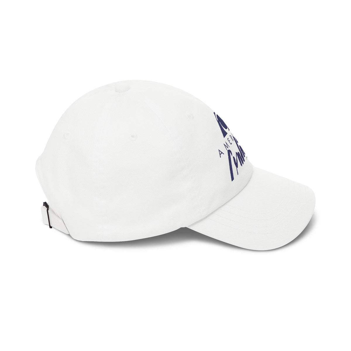 America Online (AOL) Embroidered Dad Cap Hat