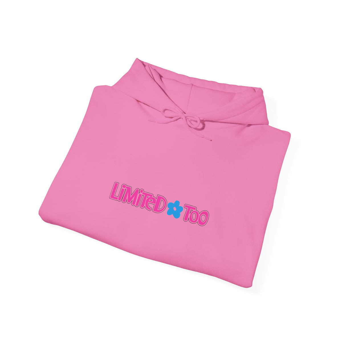 Limited Too Hoodie / Sweatshirt