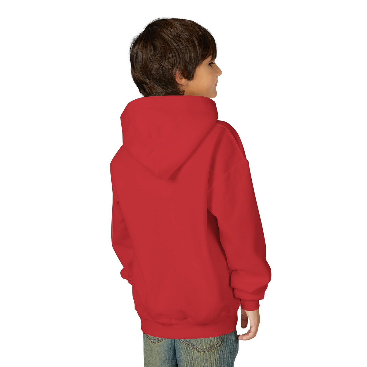 Spirit Airlines Youth Hoodie / Swaetshirt