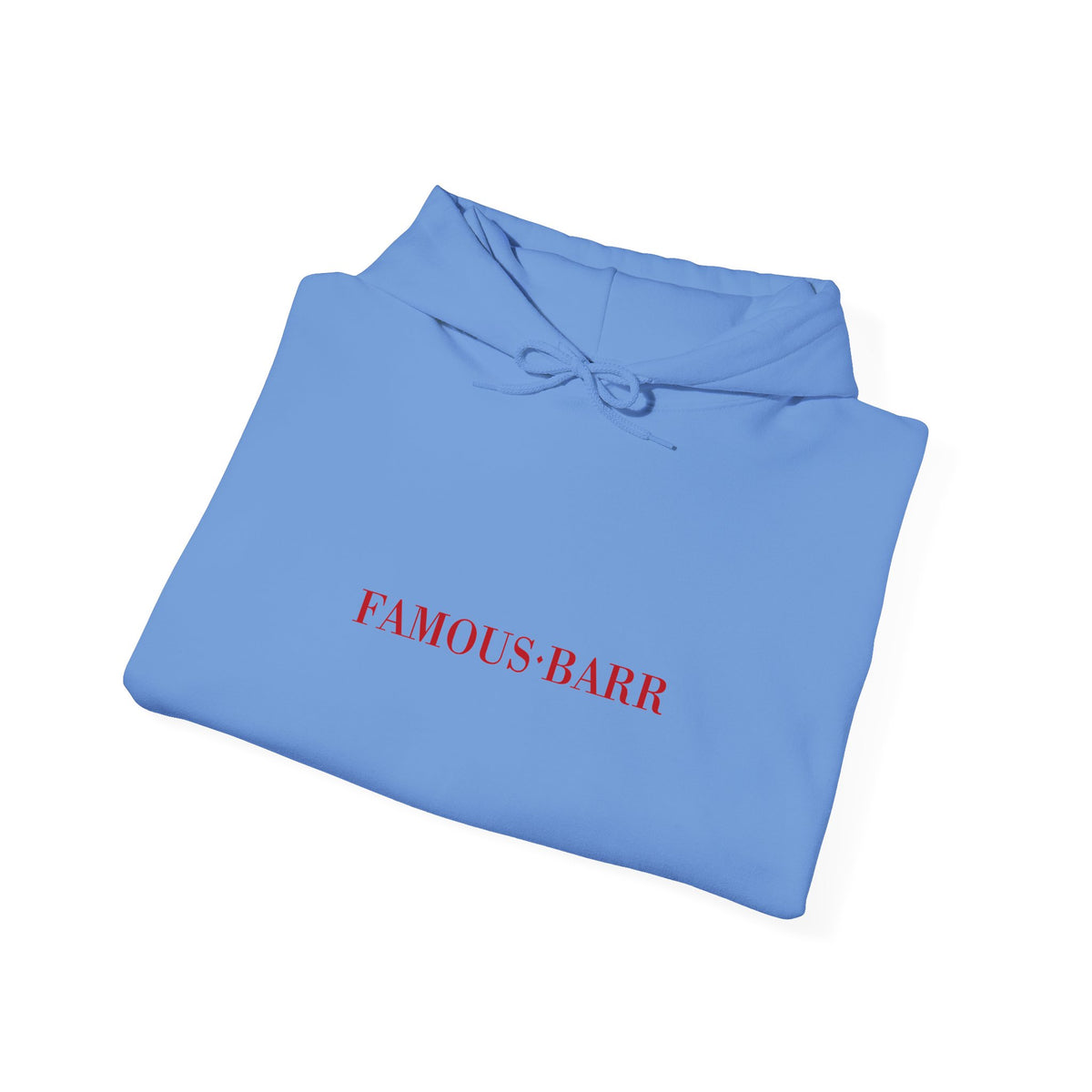 Famous-Barr Hoodie / Sweatshirt