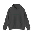 Hudson's Hoodie / Sweatshirt