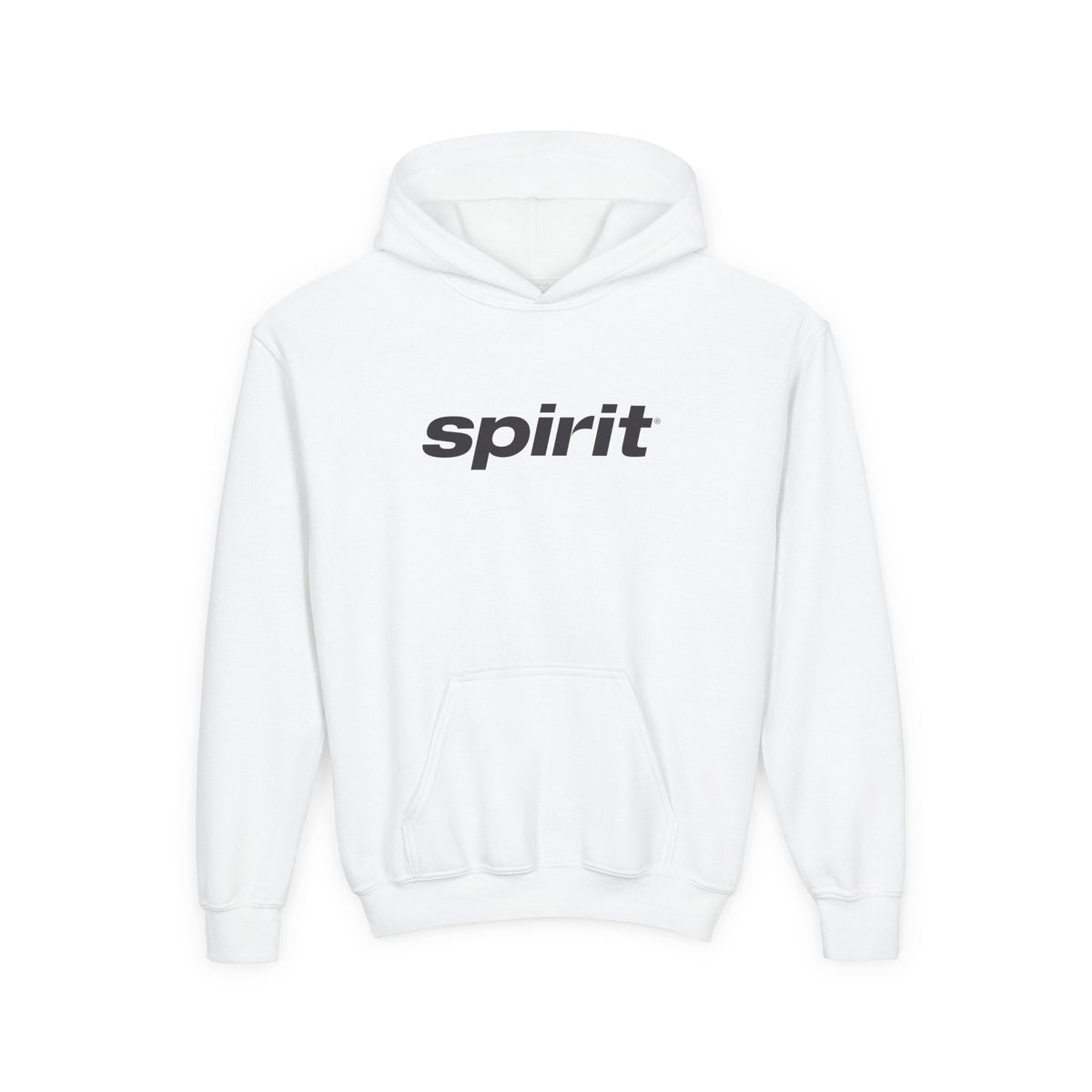 Spirit Airlines Youth Hoodie / Swaetshirt
