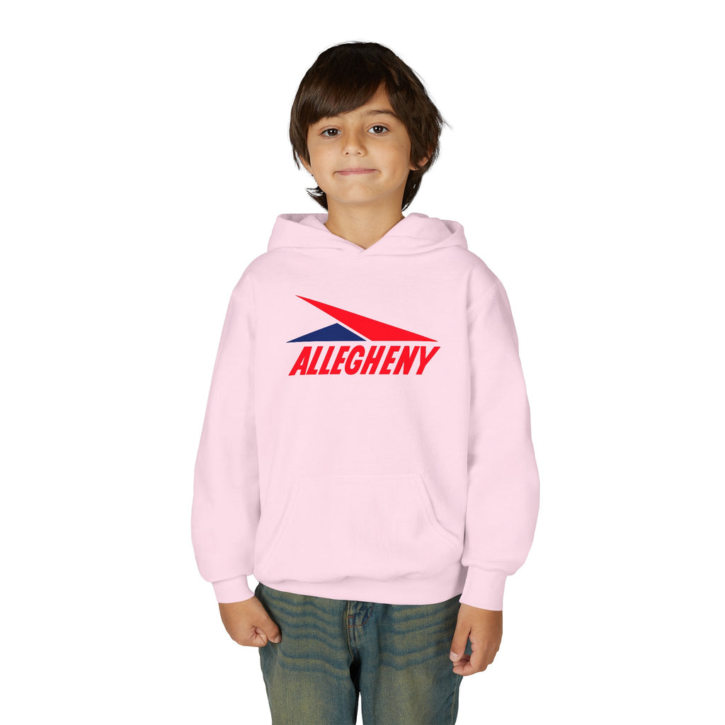 Allegheny Airlines Youth Hoodie / Sweatshirt
