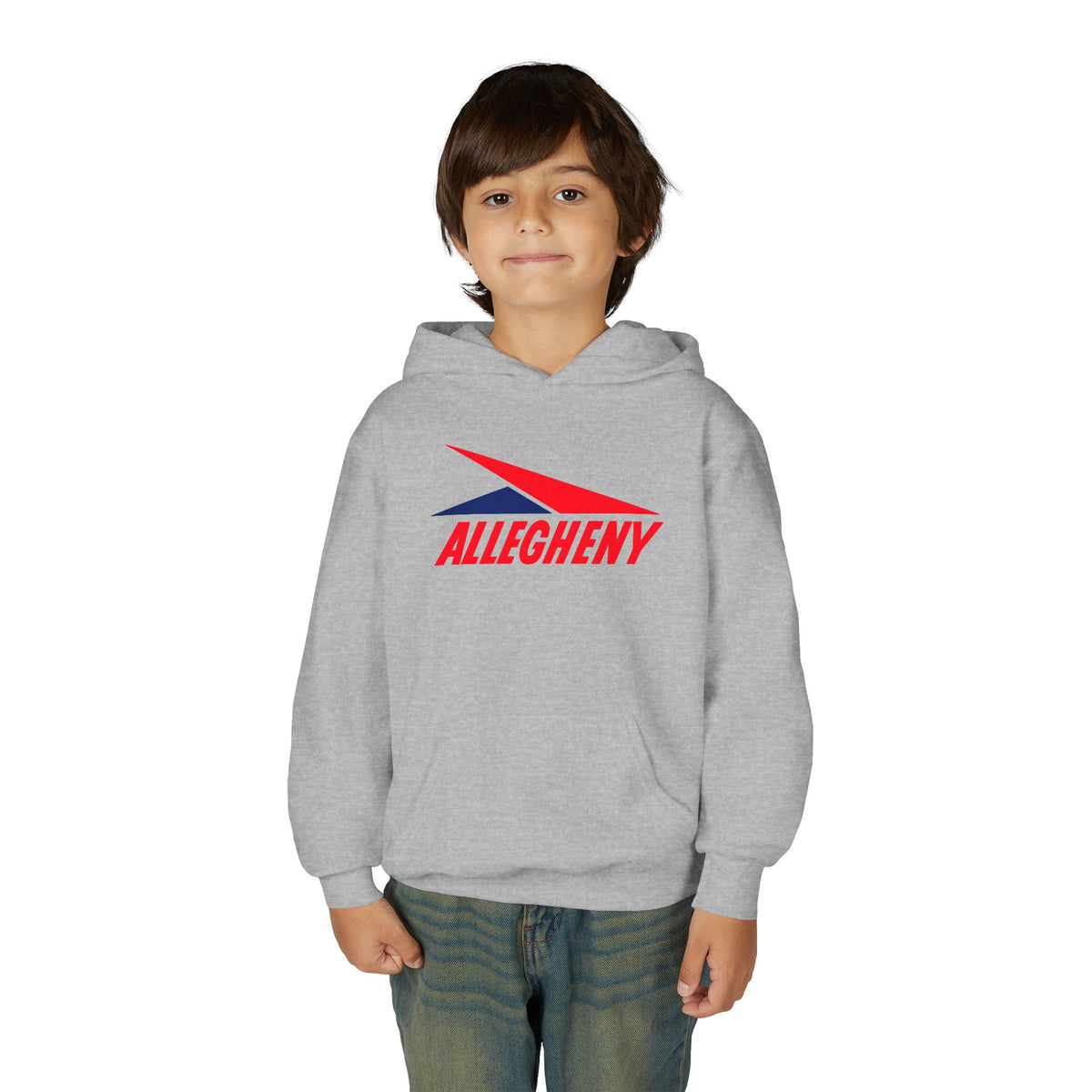 Allegheny Airlines Youth Hoodie / Sweatshirt