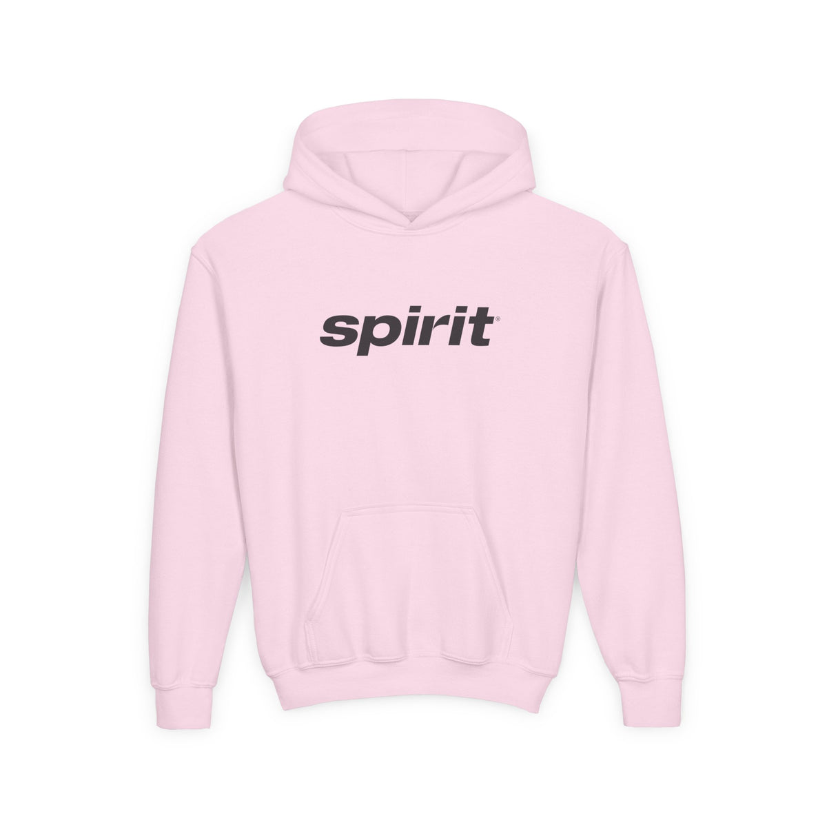 Spirit Airlines Youth Hoodie / Swaetshirt