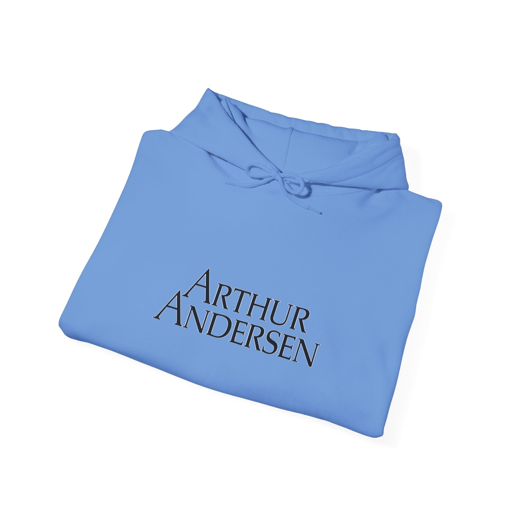 Arthur Andersen Hoodie / Sweatshirt