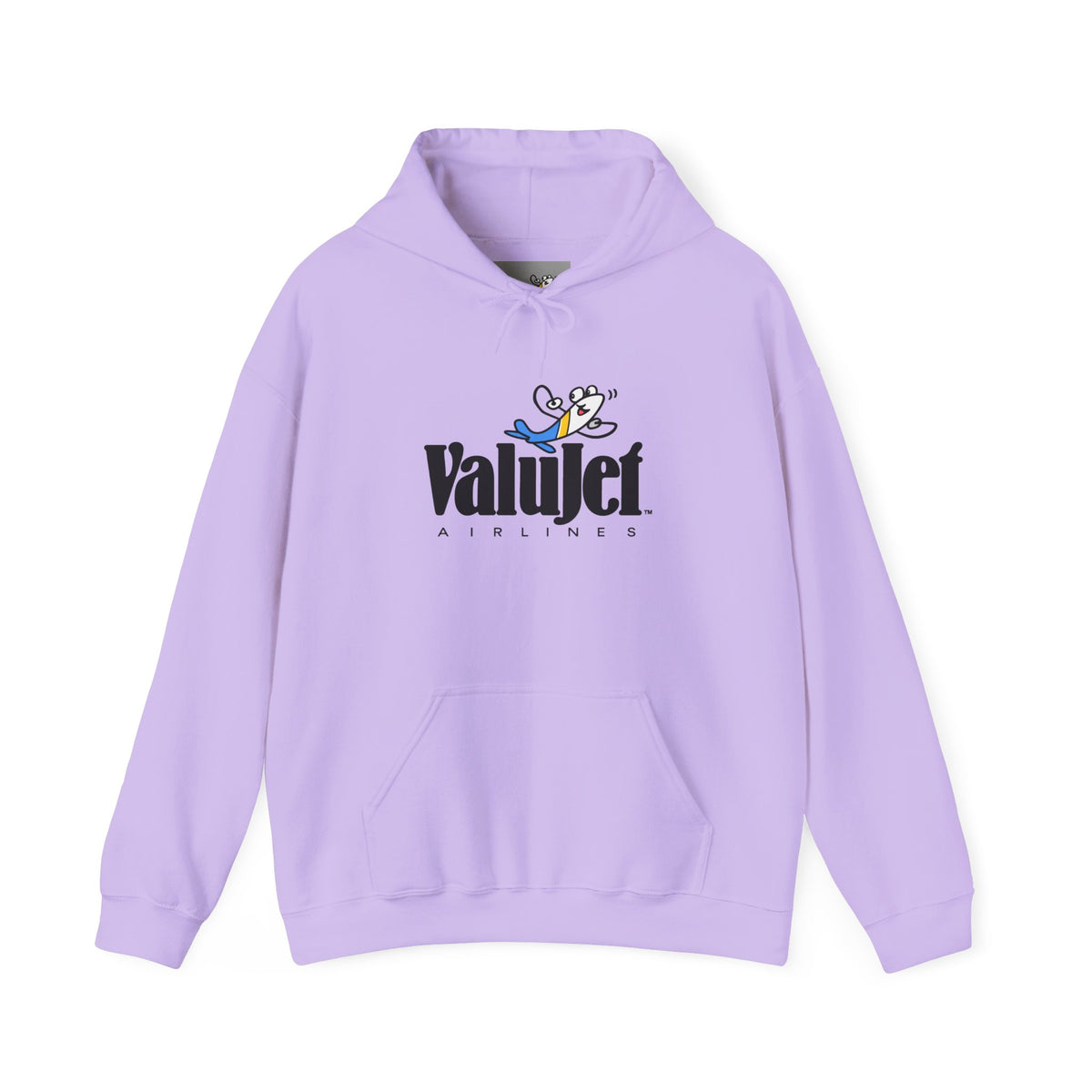 ValuJet Airlines Hoodie / Sweatshirt