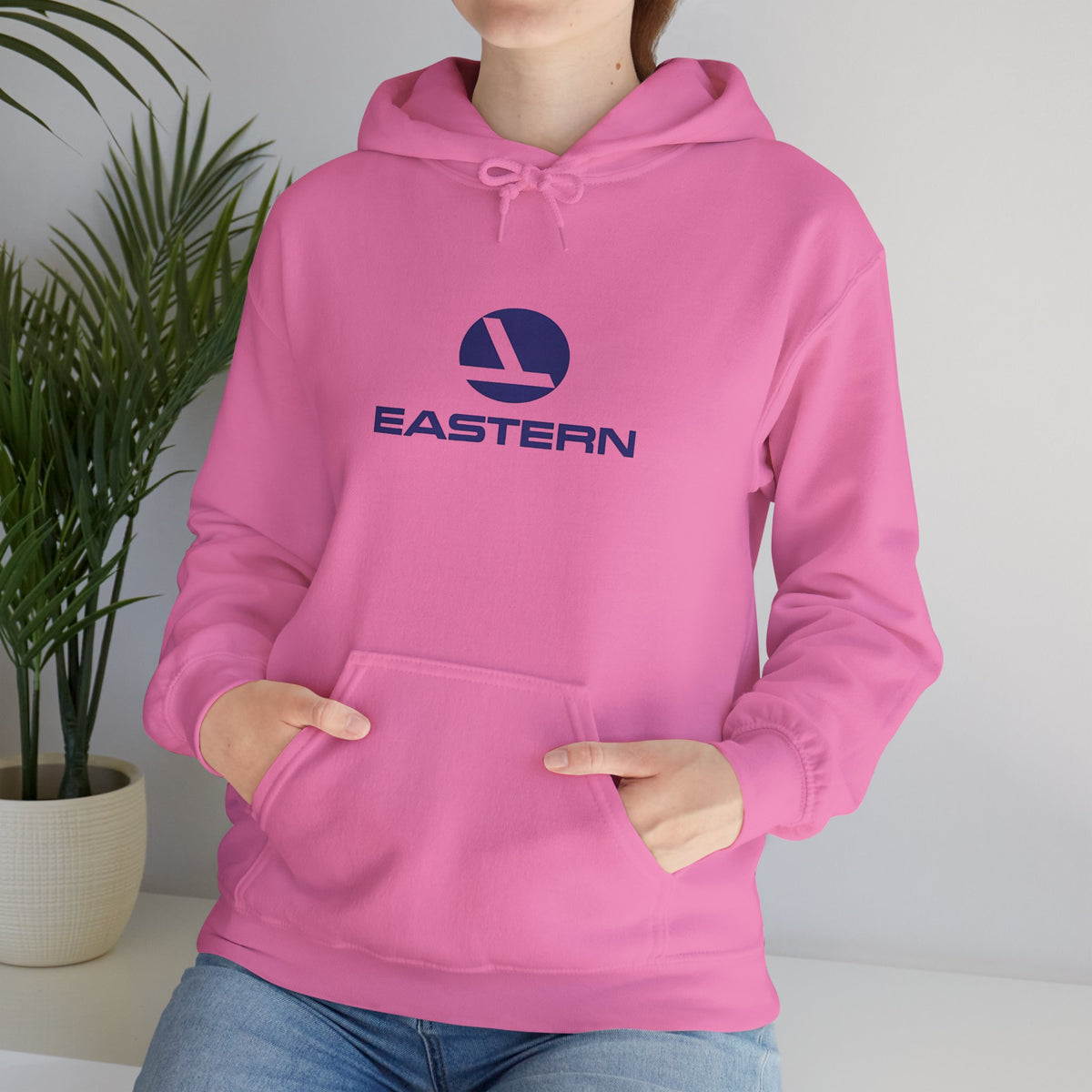 Eastern Air Lines Hoodie / Sweatshirt