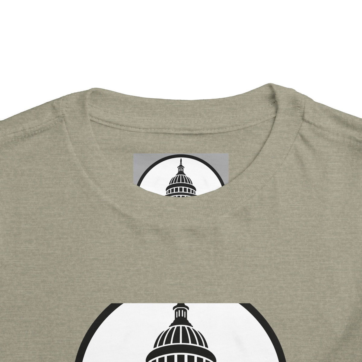 Baltimore and Ohio Railroad Toddler Tee / T-Shirt