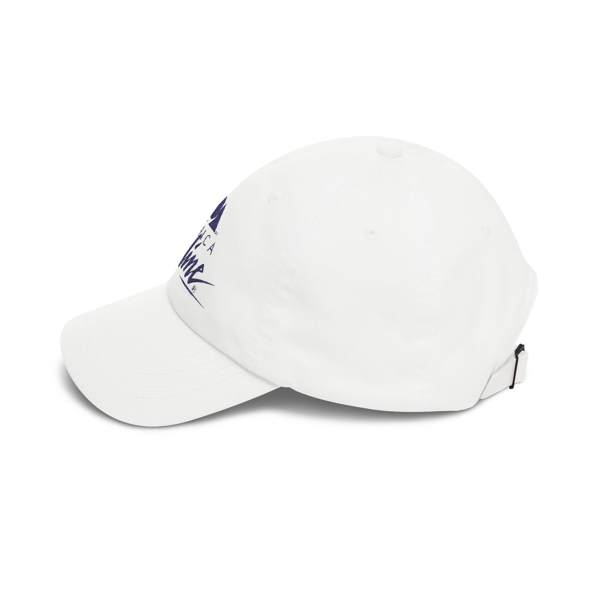 America Online (AOL) Embroidered Dad Cap Hat