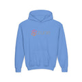 Zune Youth Hoodie / Sweatshirt