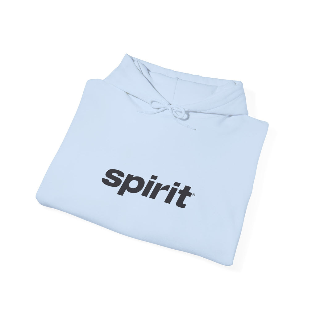 Spirit Airlines Hoodie / Sweatshirt