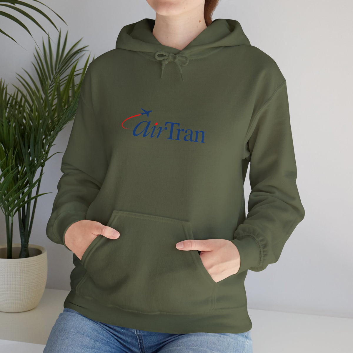 AirTran Airways Hoodie / Sweatshirt