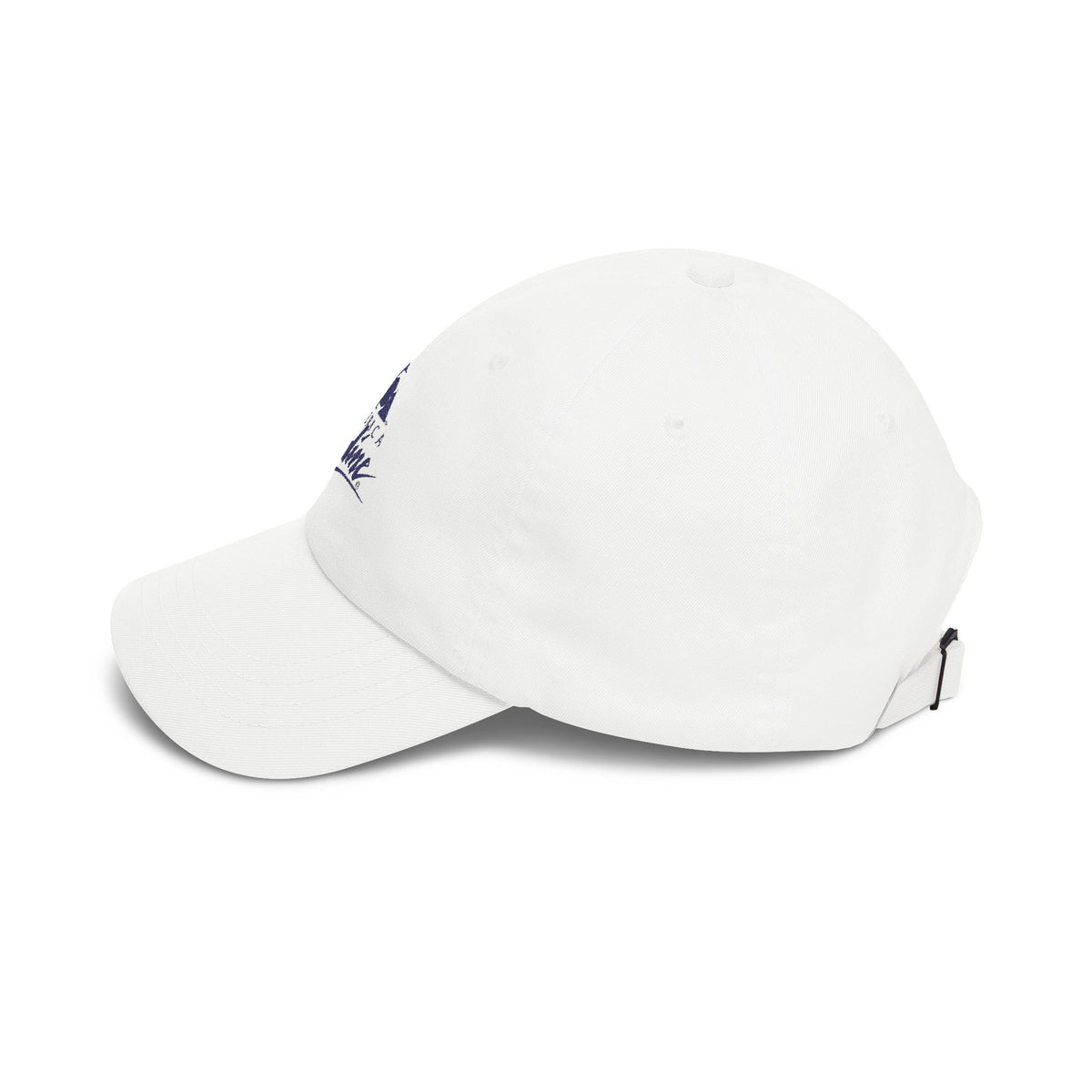 America Online (AOL) Embroidered Dad Cap Hat