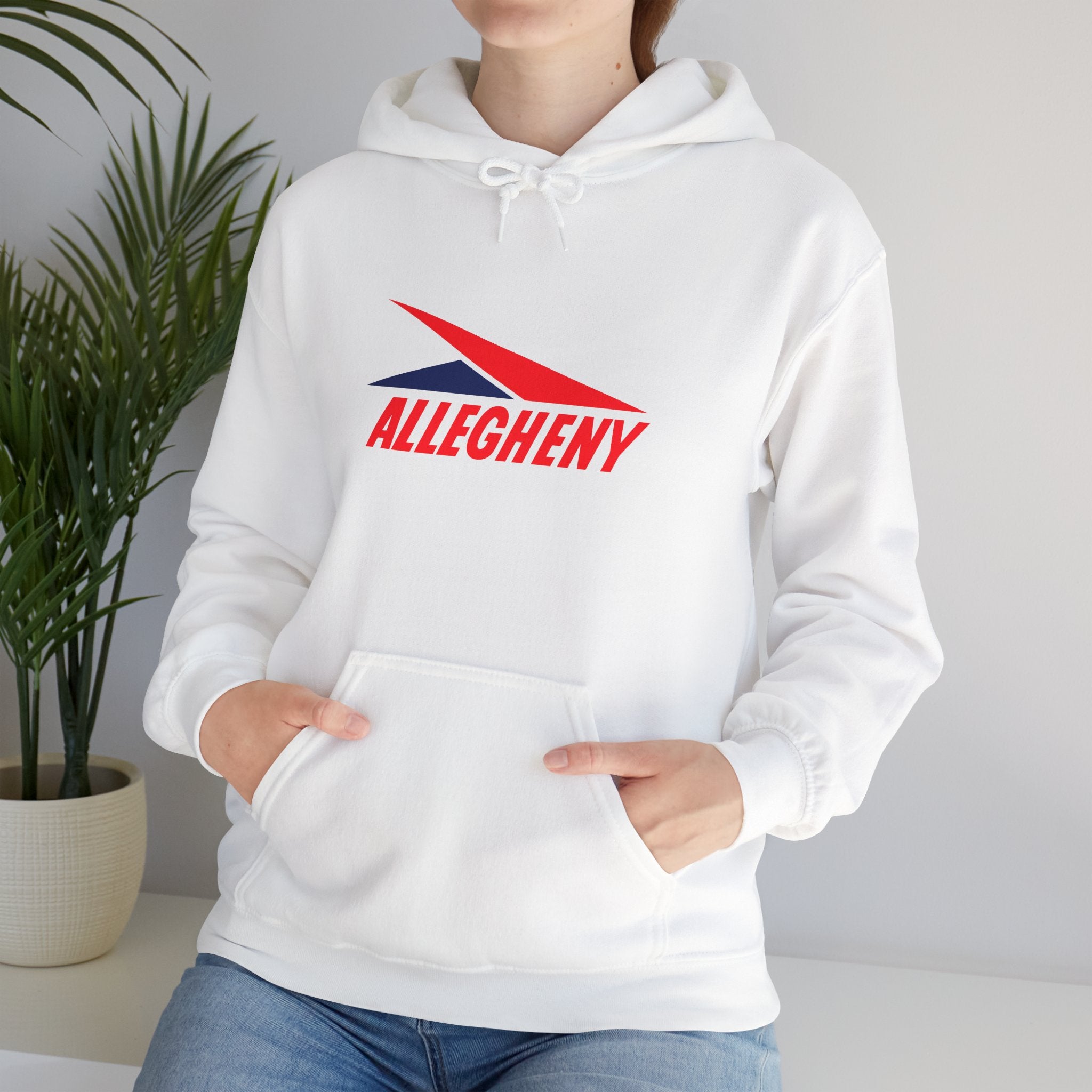 Allegheny Airlines Hoodie / Sweatshirt