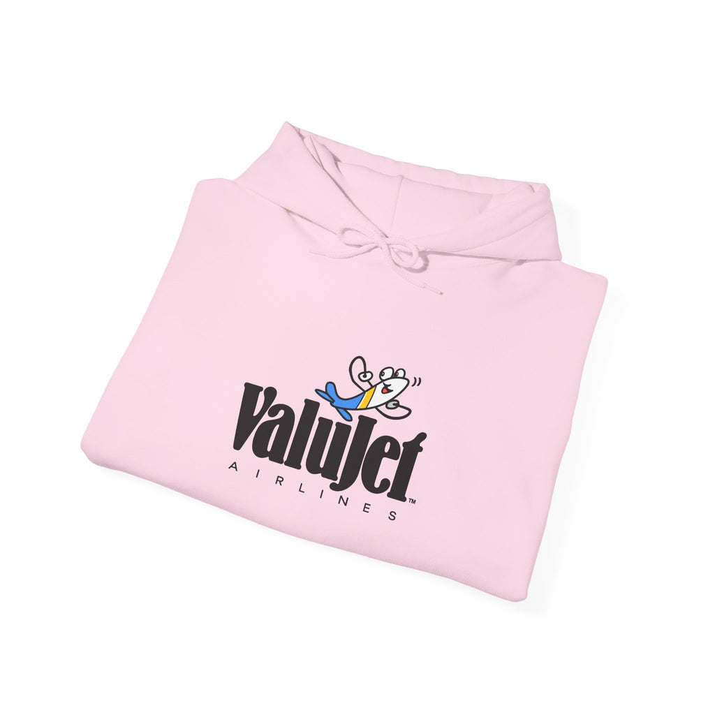 ValuJet Airlines Hoodie / Sweatshirt