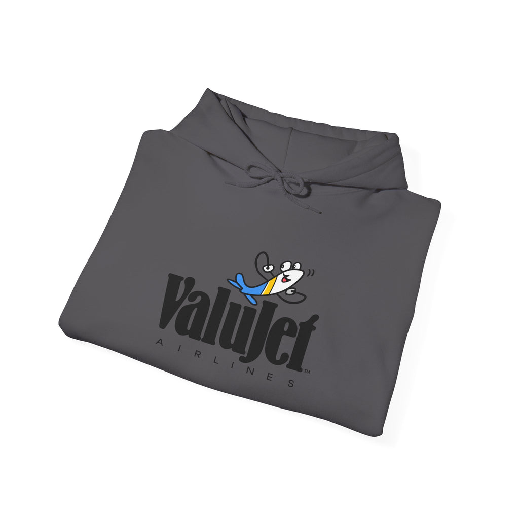 ValuJet Airlines Hoodie / Sweatshirt