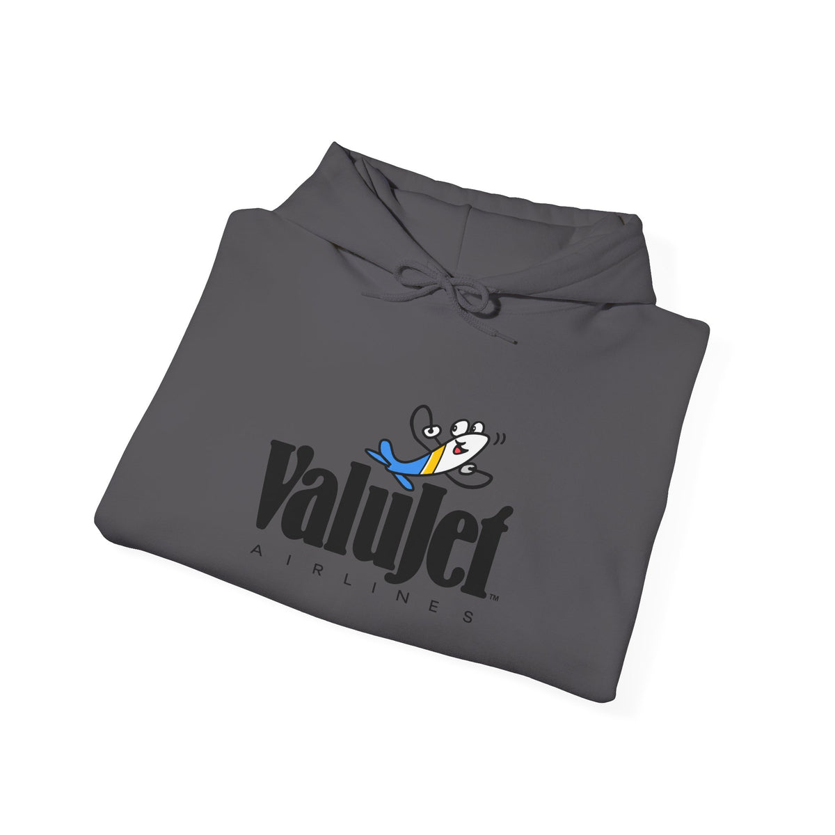 ValuJet Airlines Hoodie / Sweatshirt