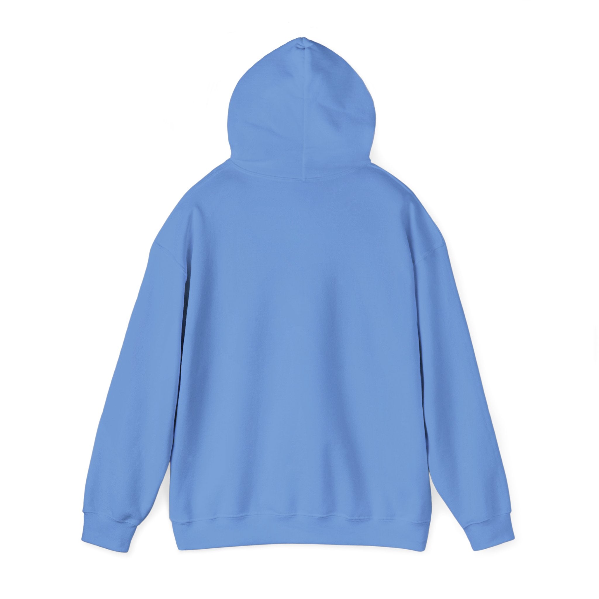 Northwestern Bell Hoodie / Sweatshirt