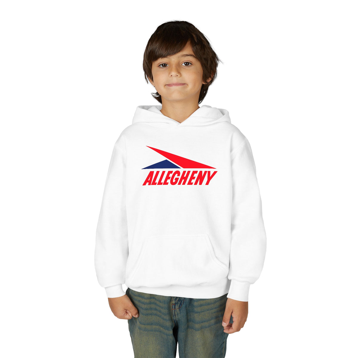 Allegheny Airlines Youth Hoodie / Sweatshirt