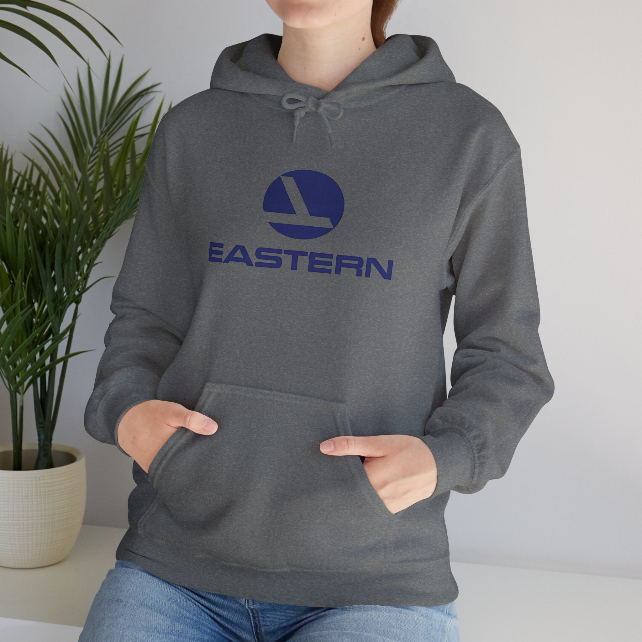 Eastern Air Lines Hoodie / Sweatshirt
