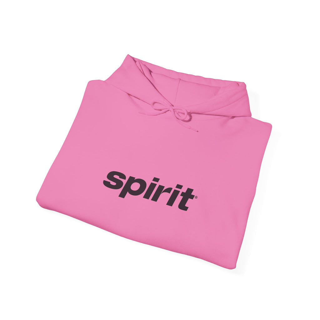Spirit Airlines Hoodie / Sweatshirt
