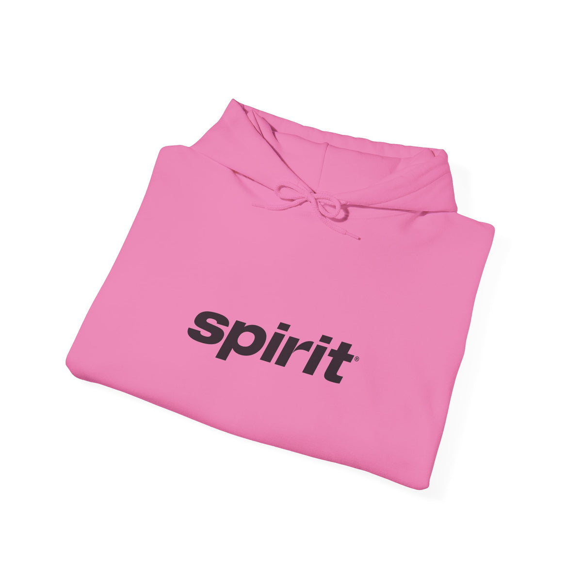 Spirit Airlines Hoodie / Sweatshirt