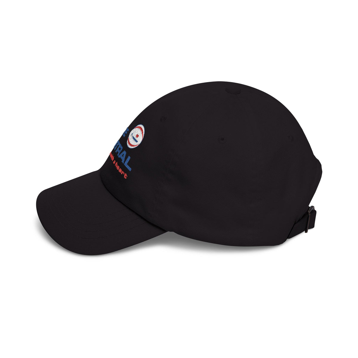 Lake Central Airlines Embroidered Dad Cap Hat